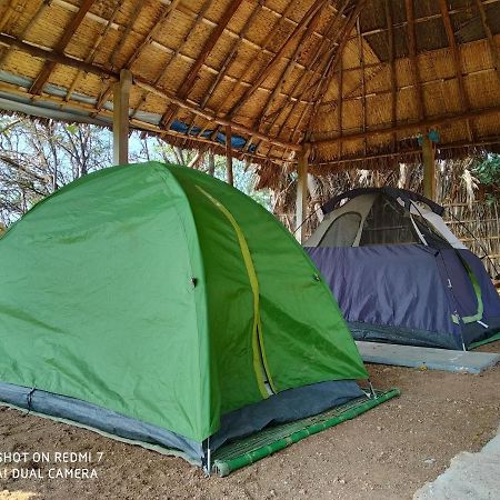 Drunken Monkey Camping Site Ξενοδοχείο Hampi Εξωτερικό φωτογραφία