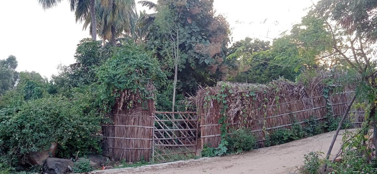 Drunken Monkey Camping Site Ξενοδοχείο Hampi Εξωτερικό φωτογραφία