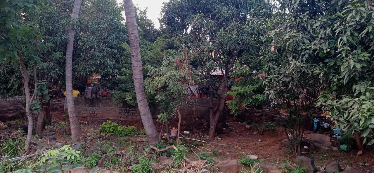 Drunken Monkey Camping Site Ξενοδοχείο Hampi Εξωτερικό φωτογραφία