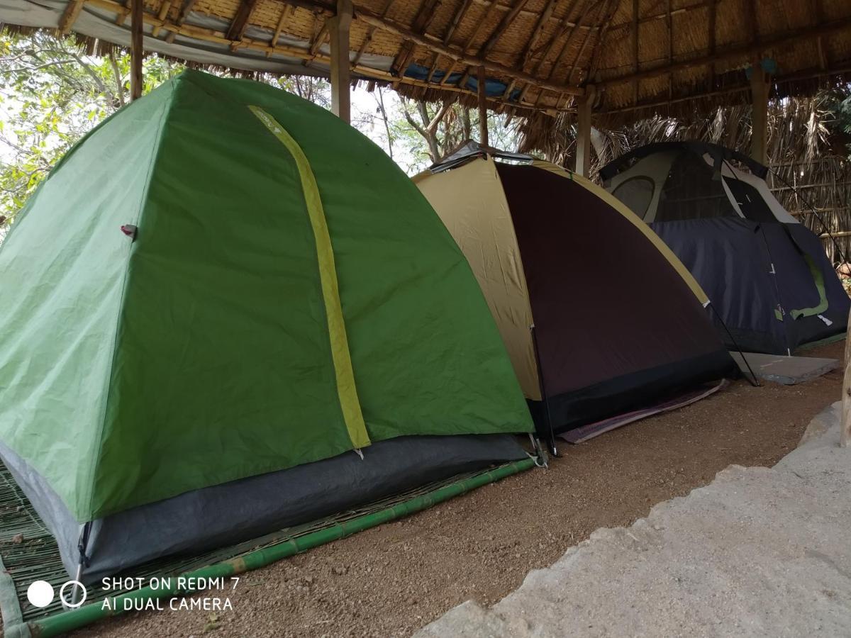 Drunken Monkey Camping Site Ξενοδοχείο Hampi Εξωτερικό φωτογραφία