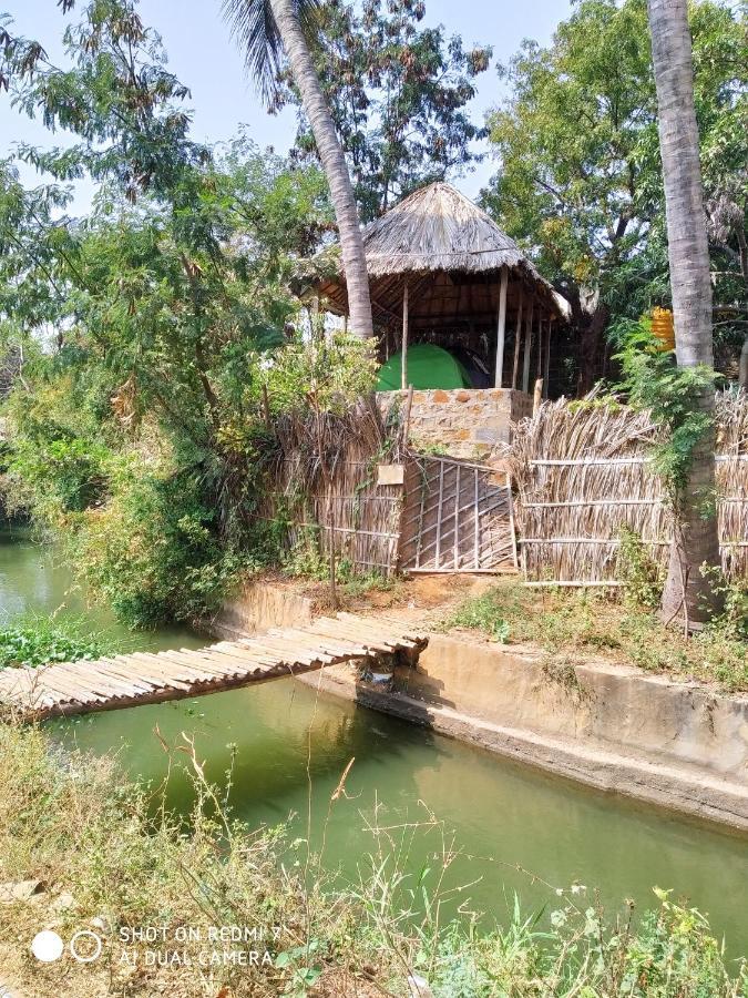 Drunken Monkey Camping Site Ξενοδοχείο Hampi Εξωτερικό φωτογραφία
