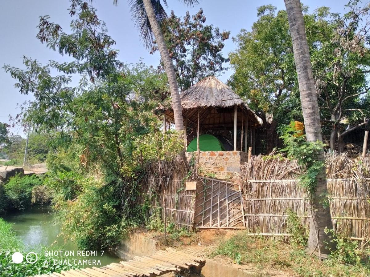 Drunken Monkey Camping Site Ξενοδοχείο Hampi Εξωτερικό φωτογραφία