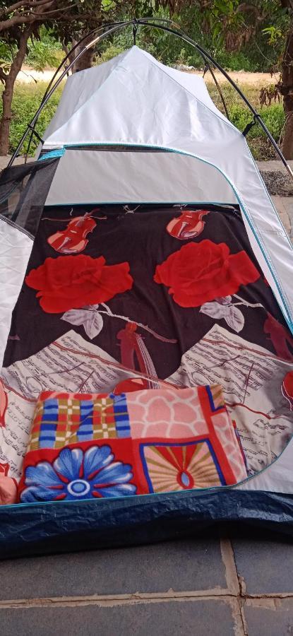 Drunken Monkey Camping Site Ξενοδοχείο Hampi Εξωτερικό φωτογραφία
