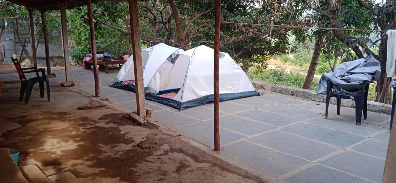 Drunken Monkey Camping Site Ξενοδοχείο Hampi Εξωτερικό φωτογραφία
